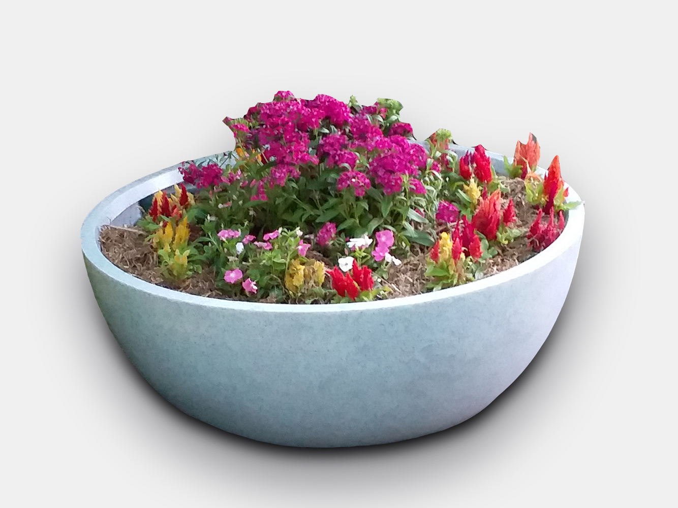 Ornamental Bowls Alliance Moulding